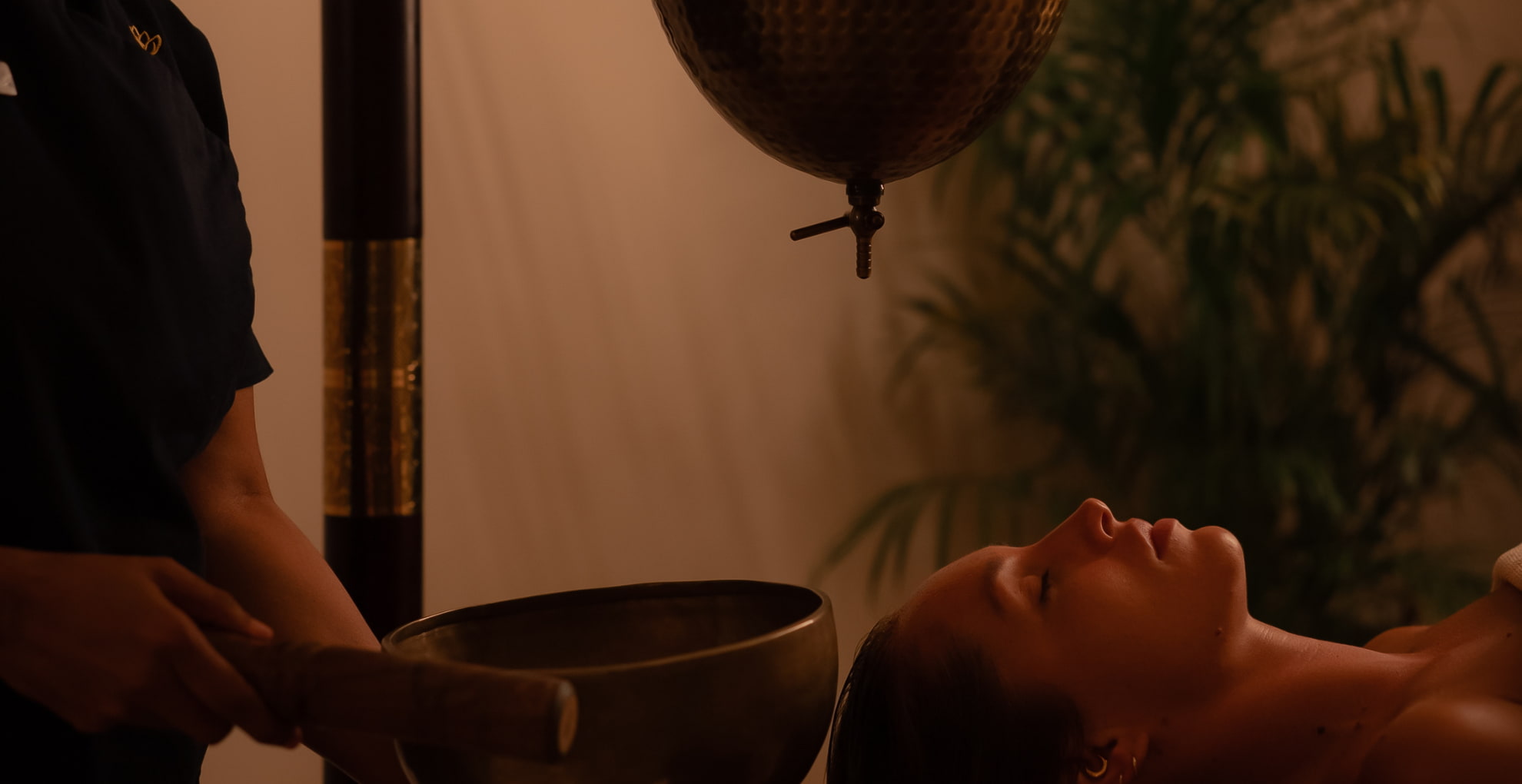 Ayurvedic Detox & Rebalance